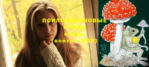 спиды Алзамай
