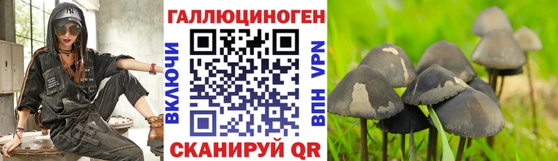 Галлюциногенные грибы мицелий  Новокузнецк 