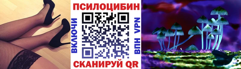 Галлюциногенные грибы GOLDEN TEACHER Новокузнецк