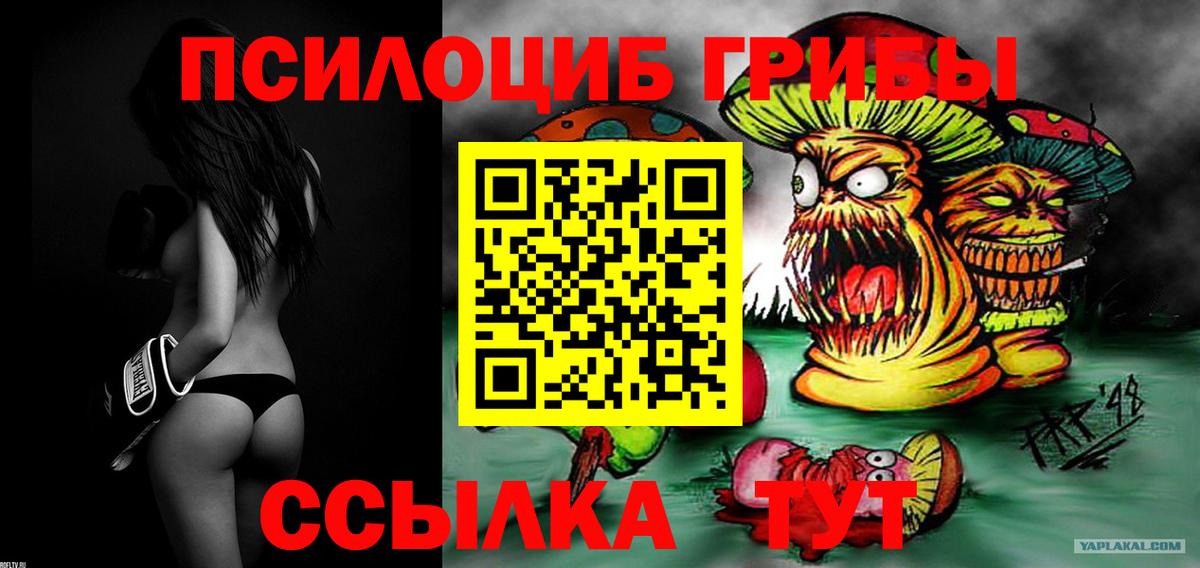 Галлюциногенные грибы Psilocybe Новокузнецк