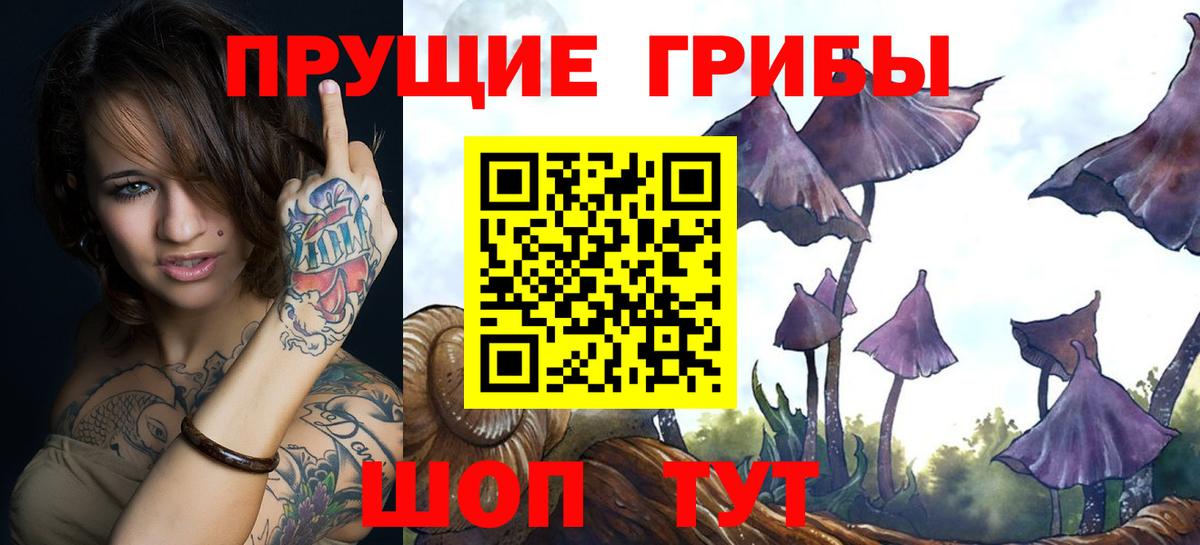 Псилоцибиновые грибы Cubensis  Вход с VPN  Новокузнецк  Псилоцибиновые грибы MAGIC MUSHROOMS 
